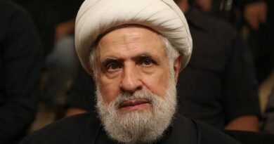 الشيخ نعيم قاسم